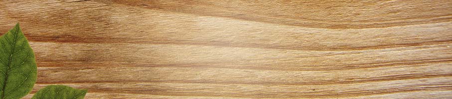 Image of wood grain and leaf
